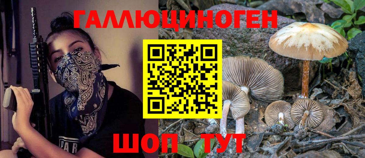 A-PVP Архангельск