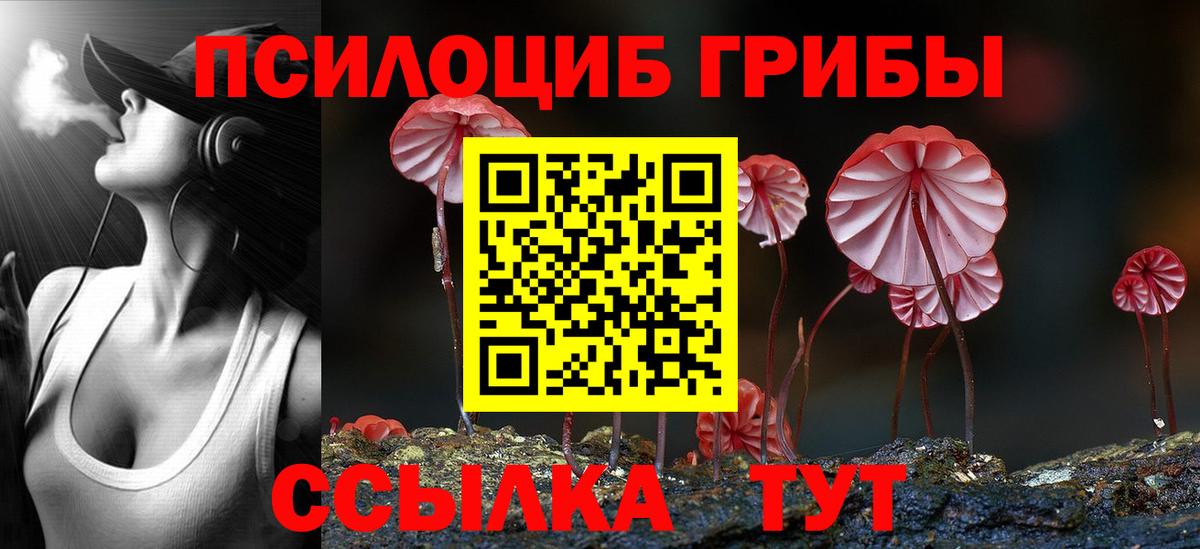Псилоцибиновые грибы Magic Shrooms  Вход с VPN  Архангельск 